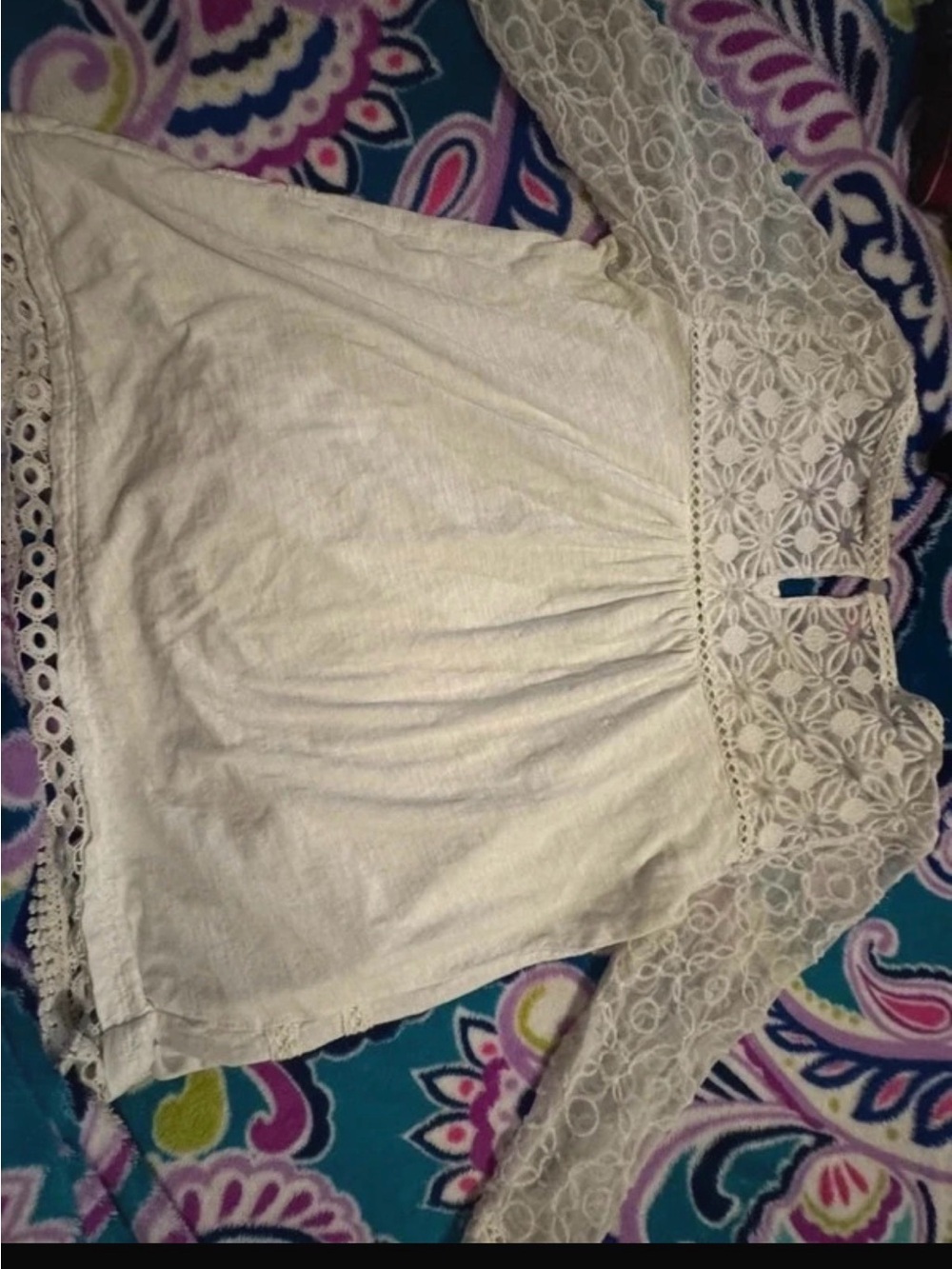Meadow Rue Cream Lace Yoke Long-Sleeve Top